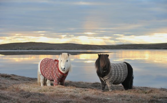 The Scotland tourism board